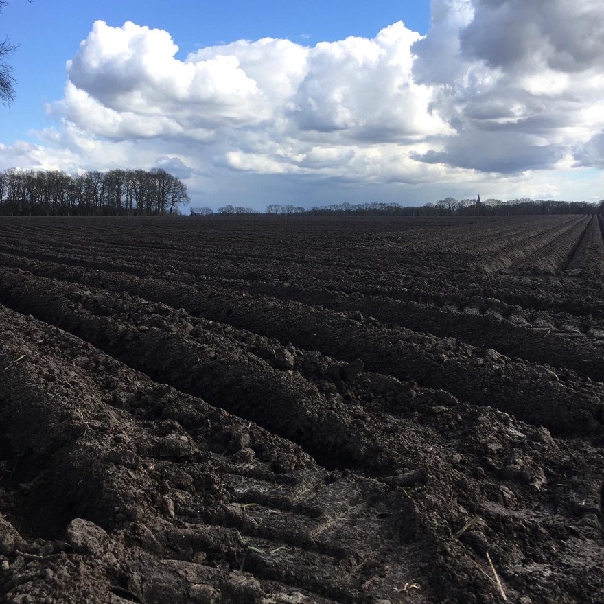 Drenthe ploughed field