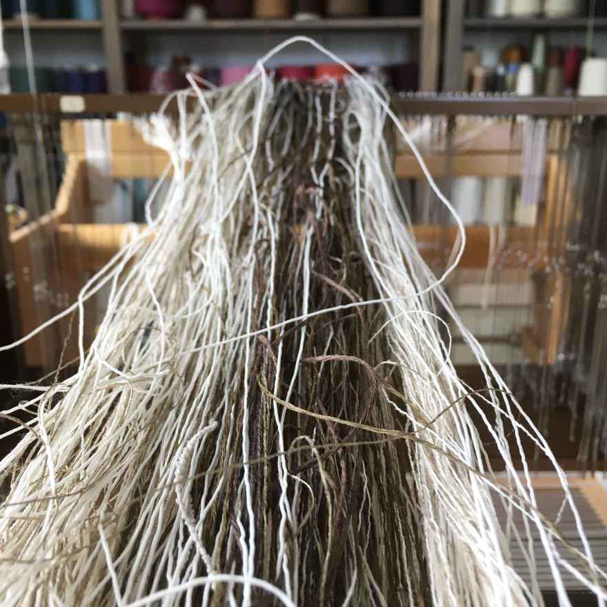 Warp being wound onto loom