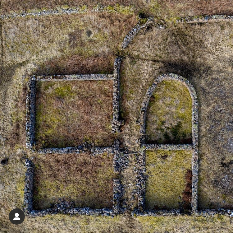 Carolyne Mazur sheep folds