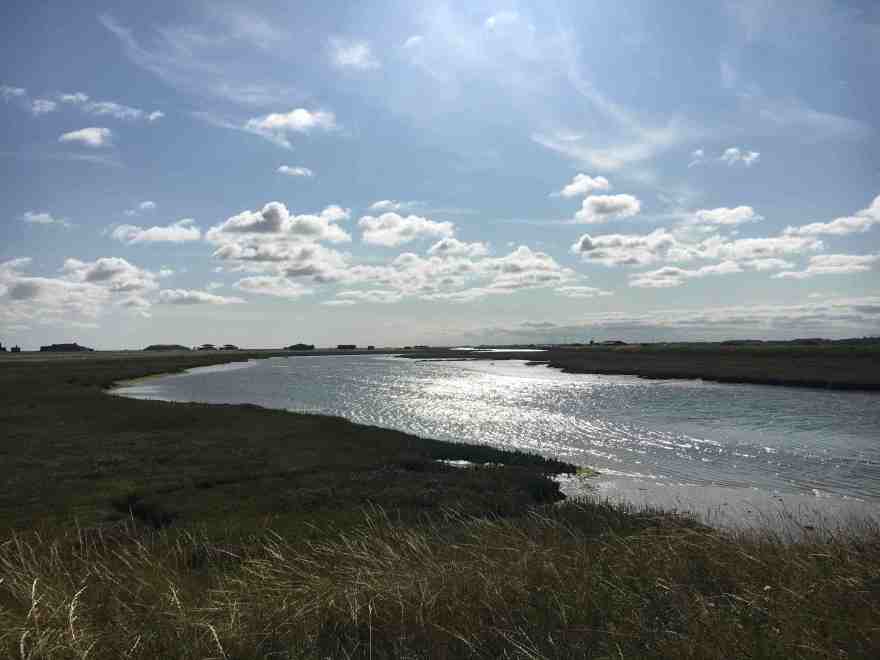 Orford Ness salt marsh