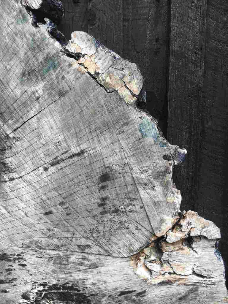 Wood at Art in Nature, Mull