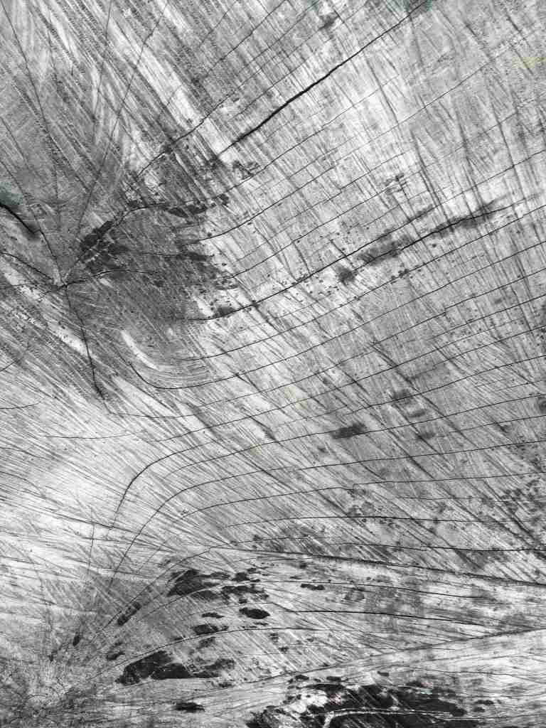 Wood detail, Art in Nature, Mull