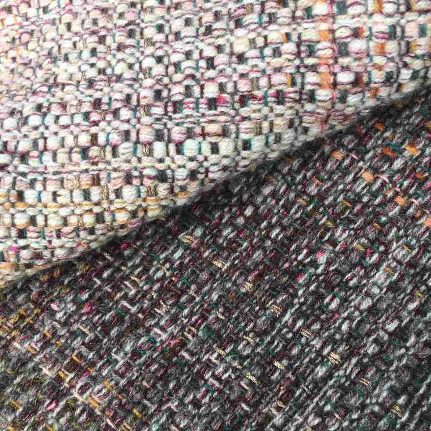 English tabby detail