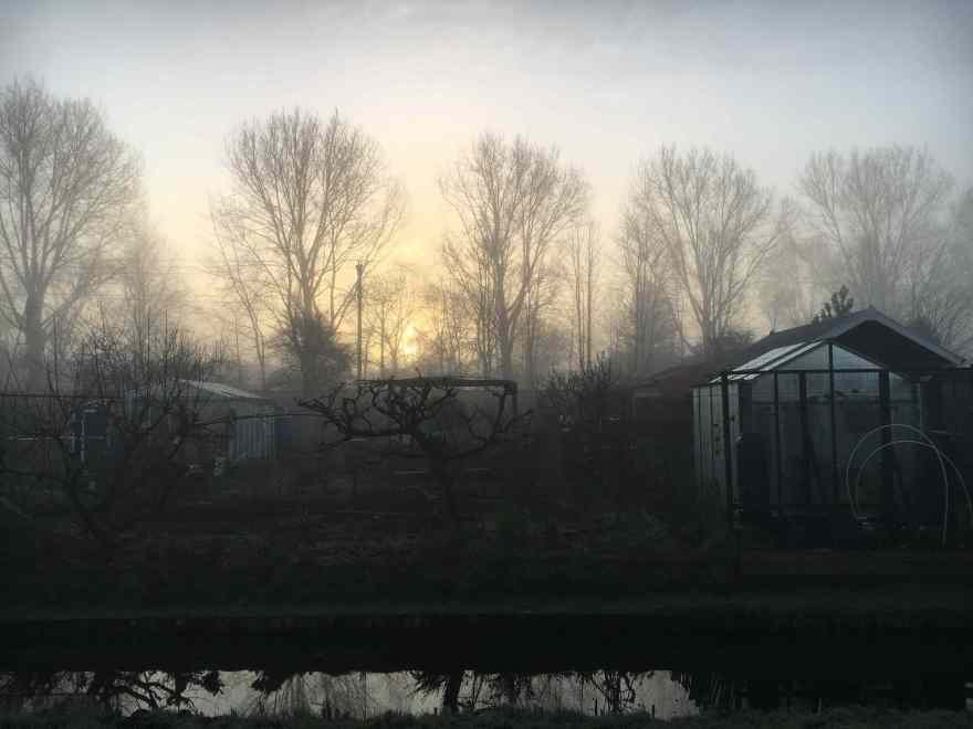 Sunrise over the allotment