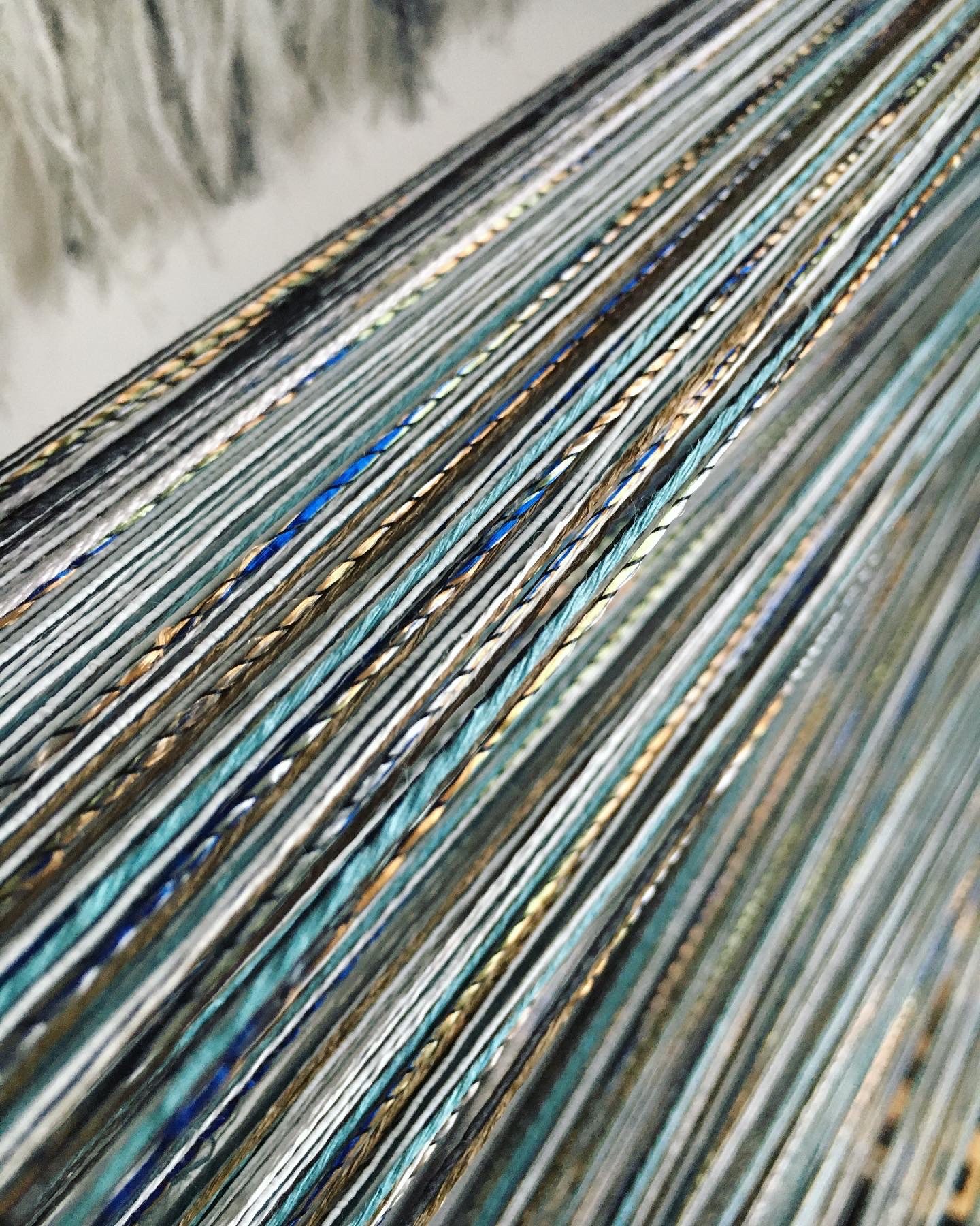 Detail of warp