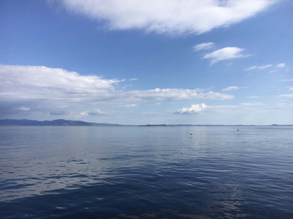 Boat trip Treshnish Isles