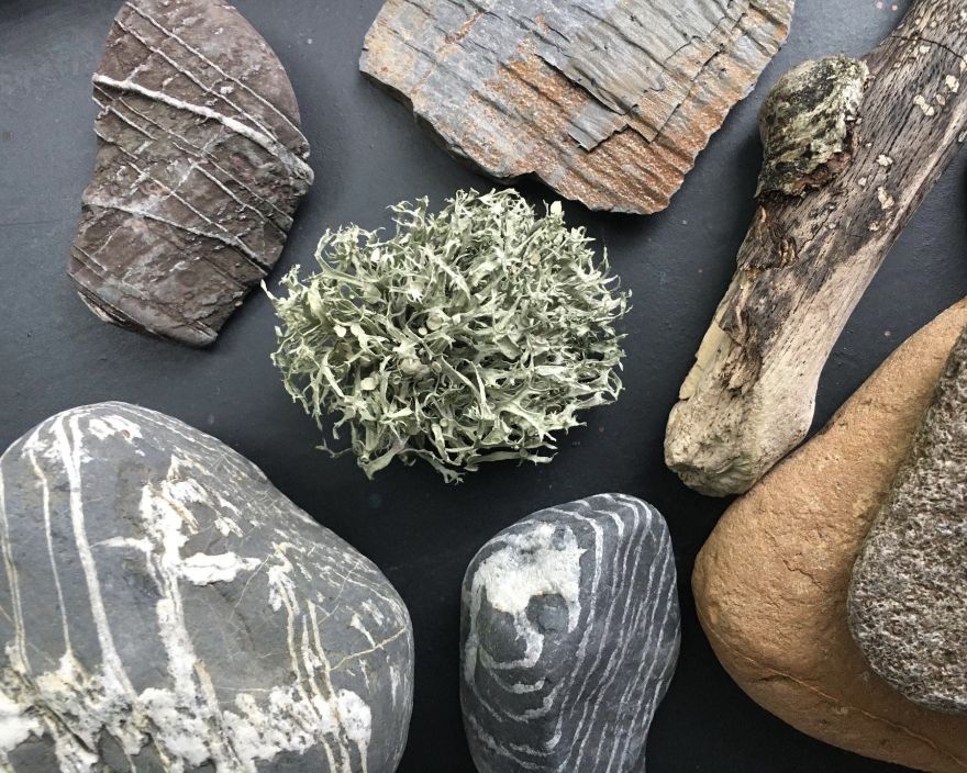 Pebbles from Gylen beach with lichen