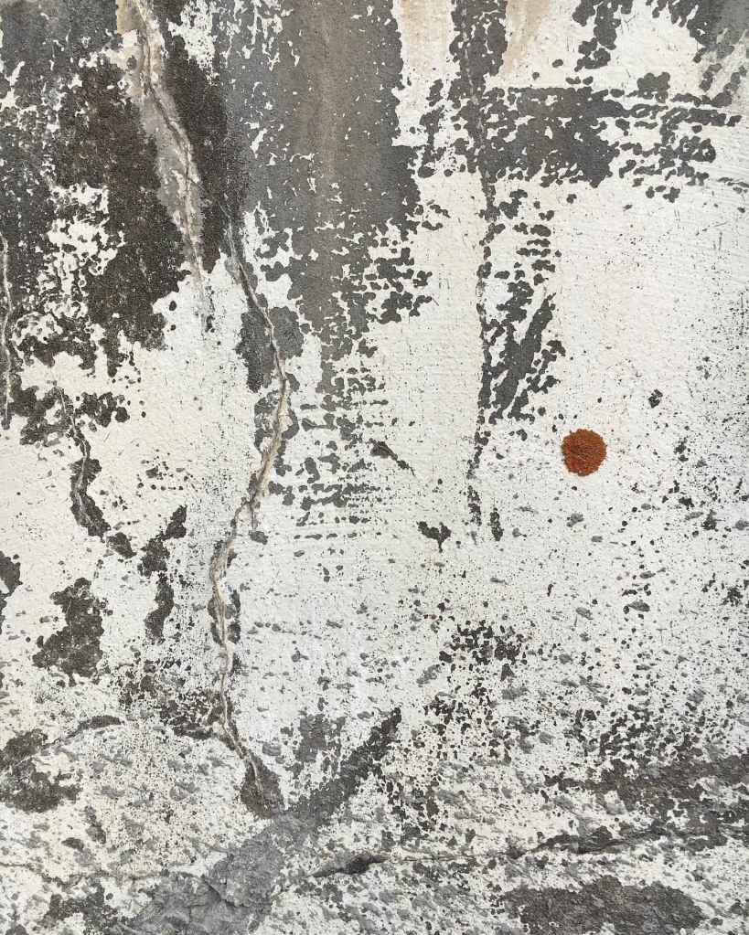 The old herring factory texture 1