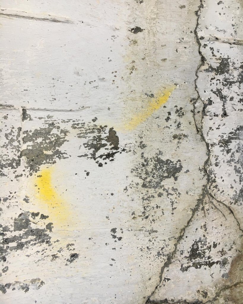 The old herring factory texture 2