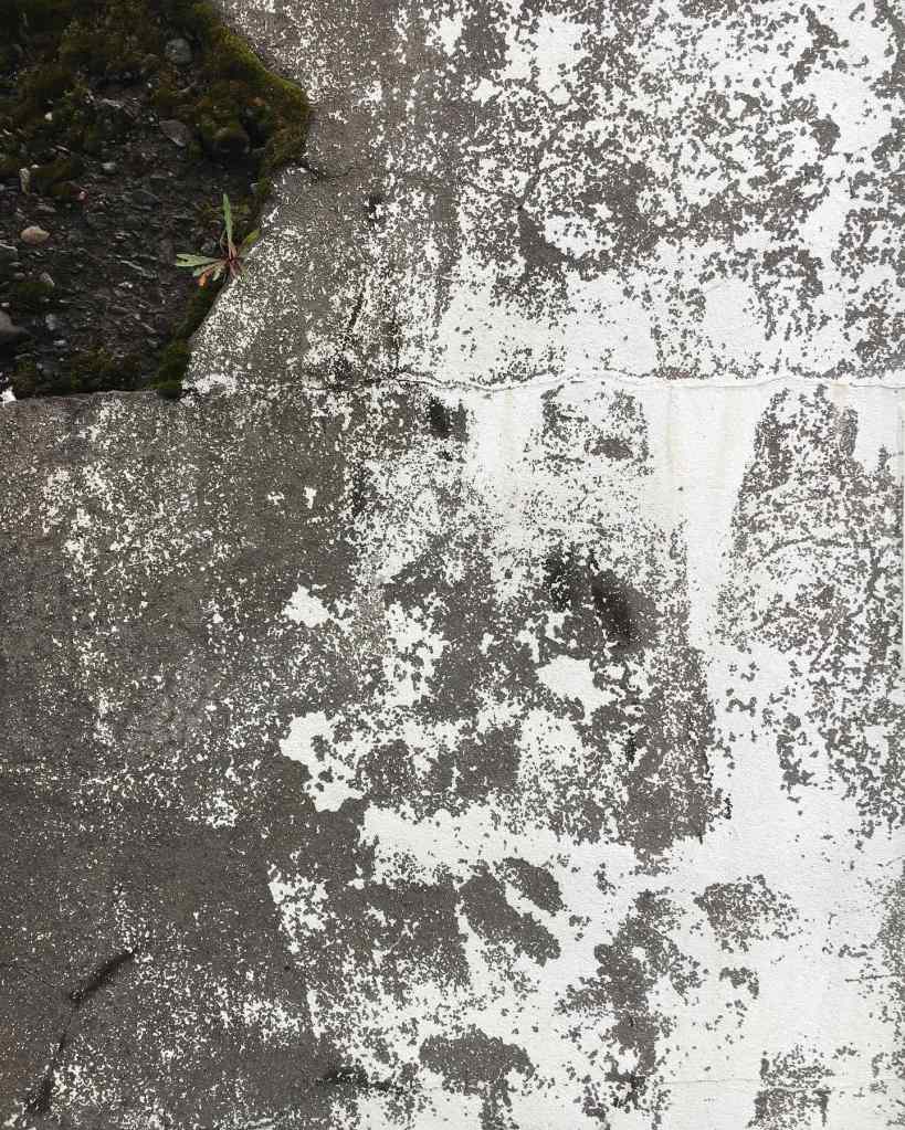 The old herring factory texture 4