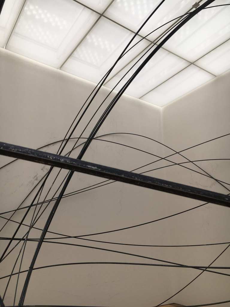 Anthony Gormley drawing in space