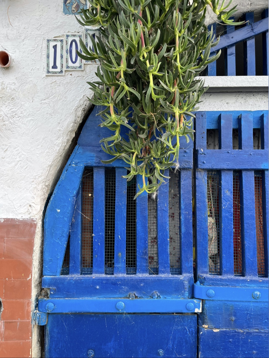 Beach cave door and plants at Spiaggia del Passetto, Ancona
