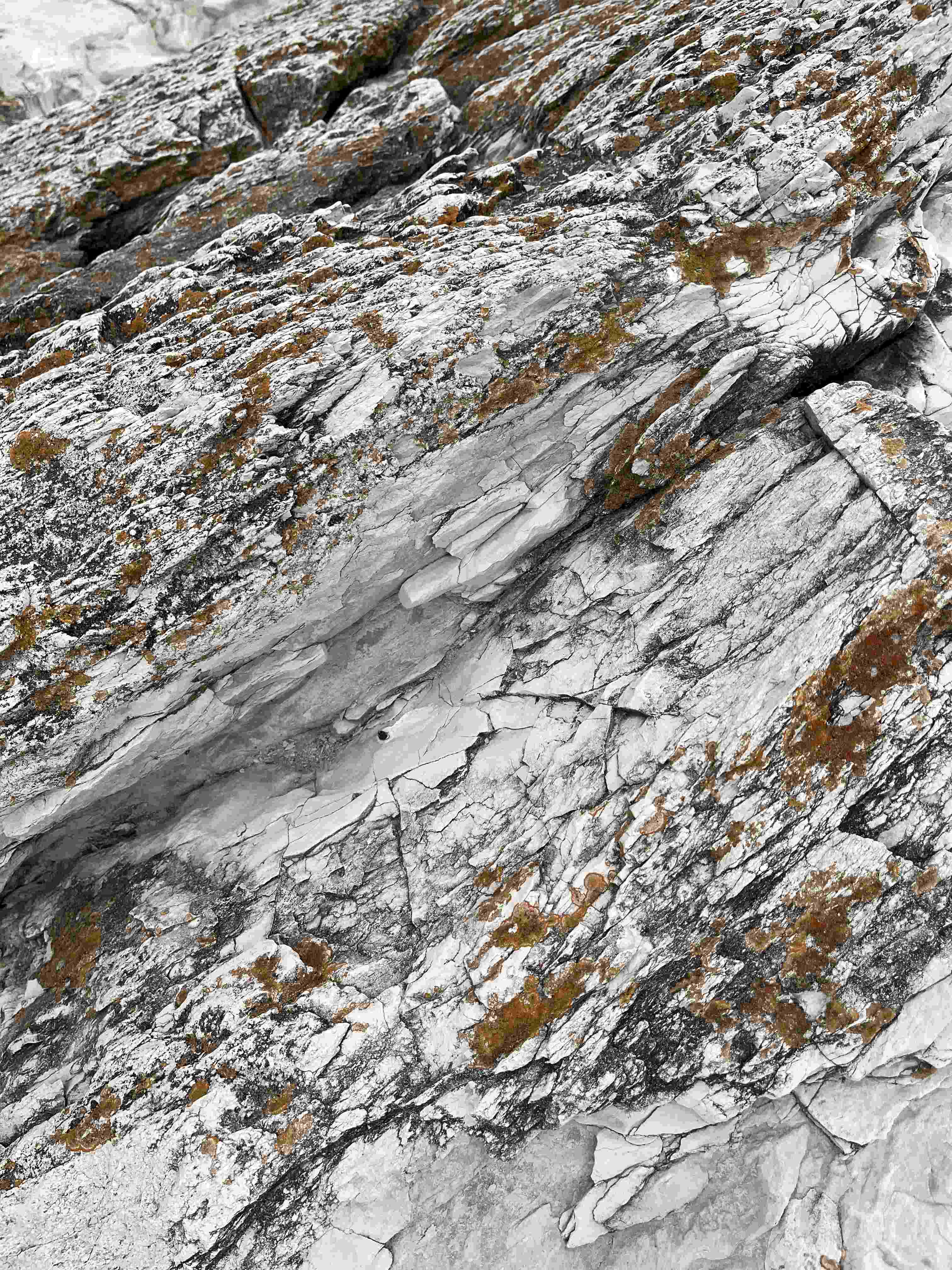 Limestone and lichen at Ancona