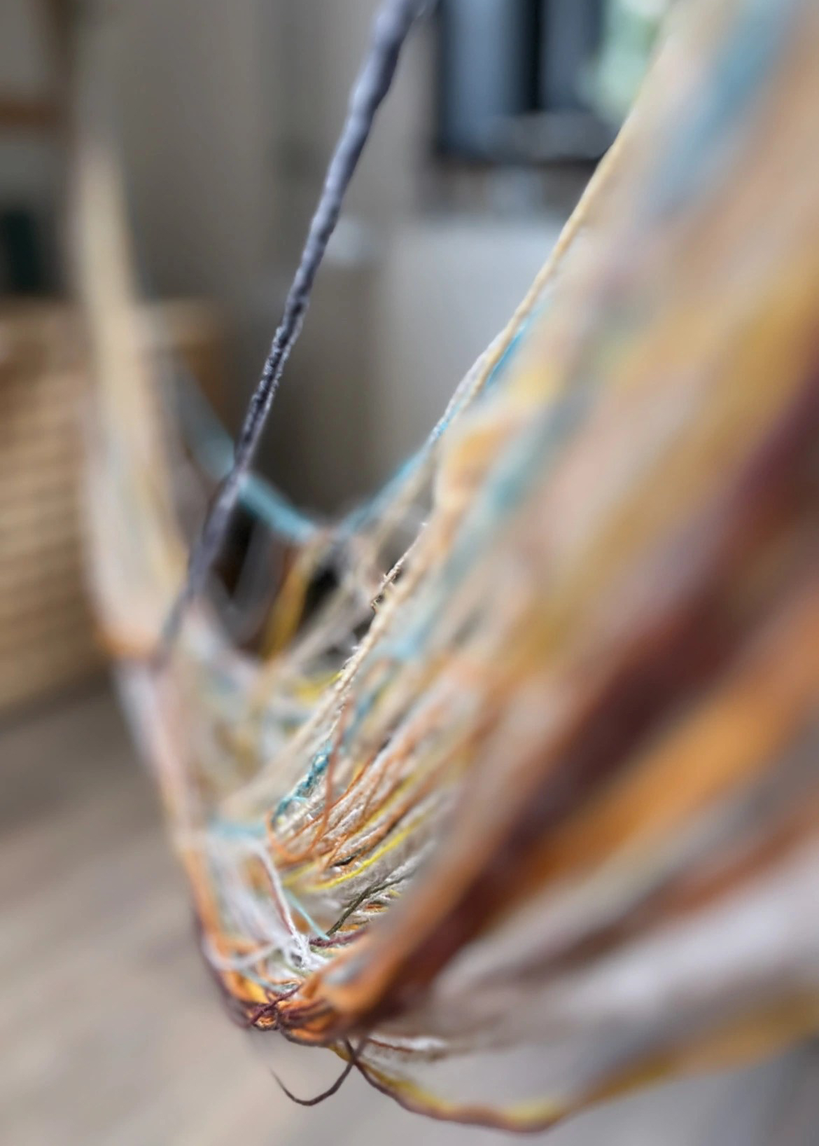 Warp being moved onto the loom