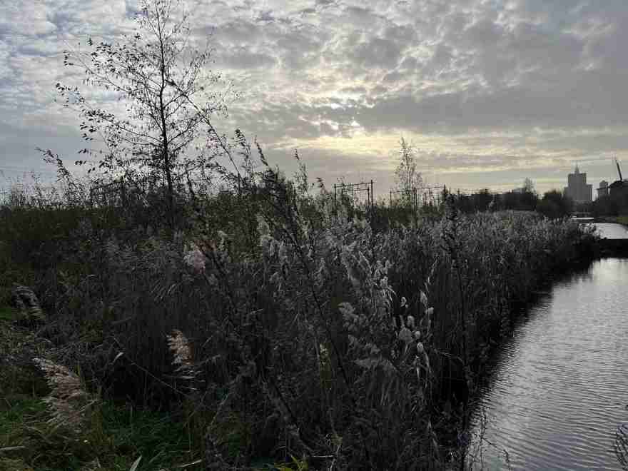 November light on the canal