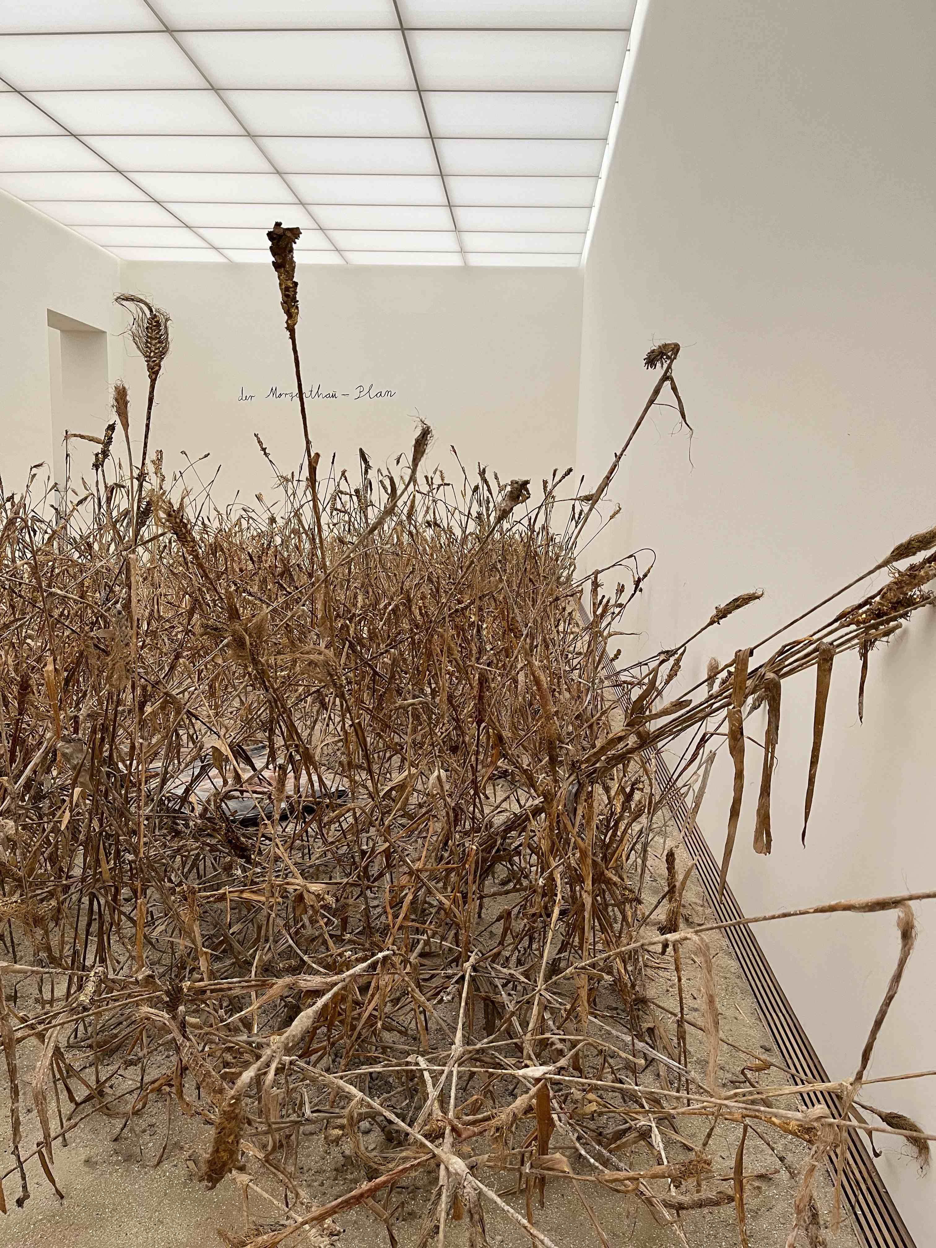 Anselm Kiefer Der Morgenthau Plan