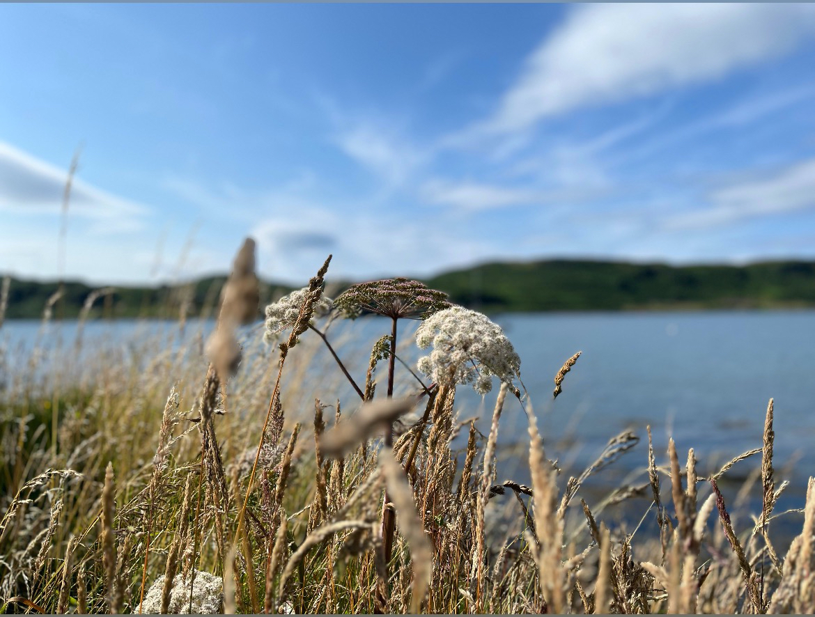 Looking out to the Isle of Kerrera, Scotland