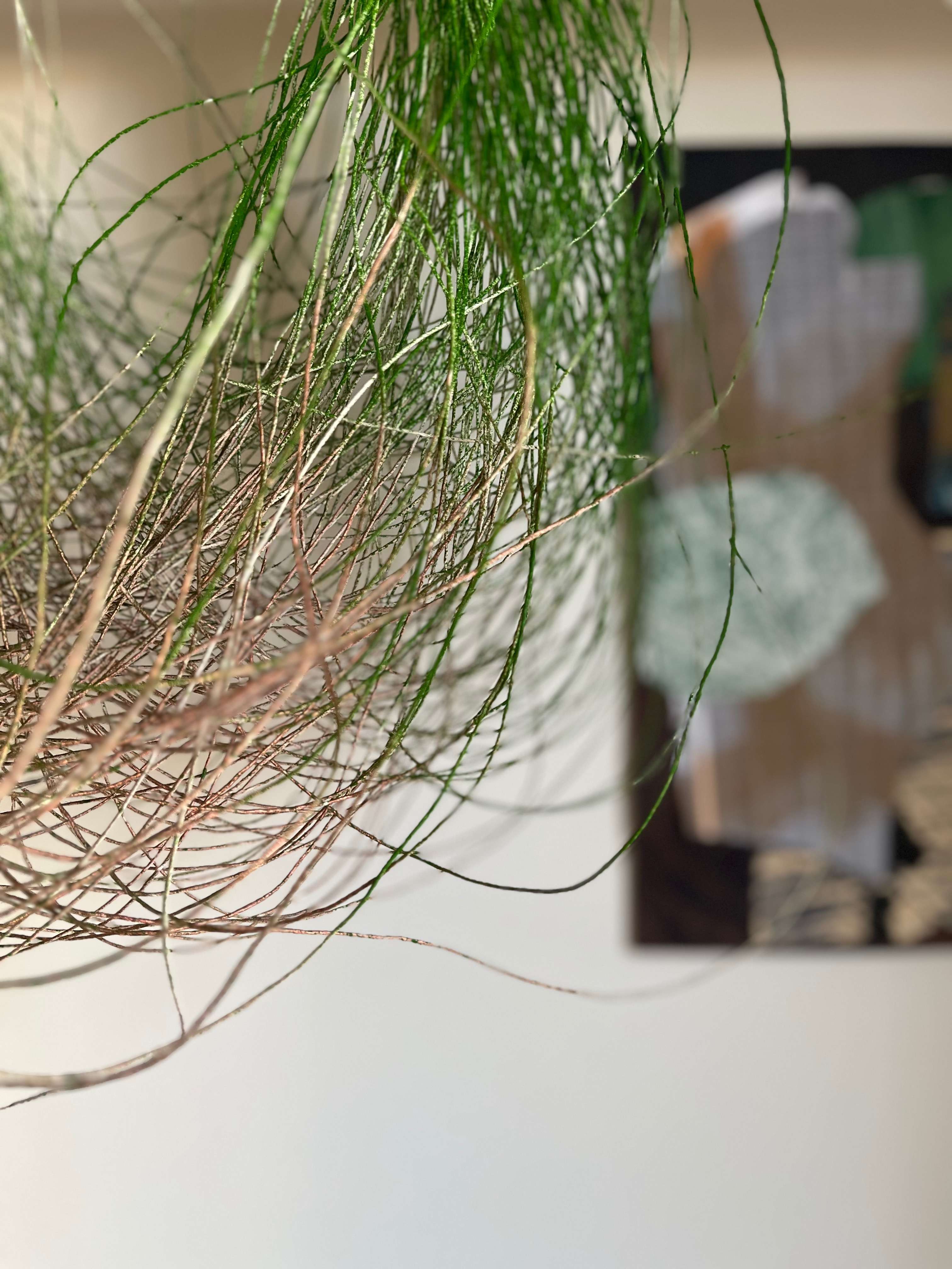 Prepping spun paper yarn for weaving