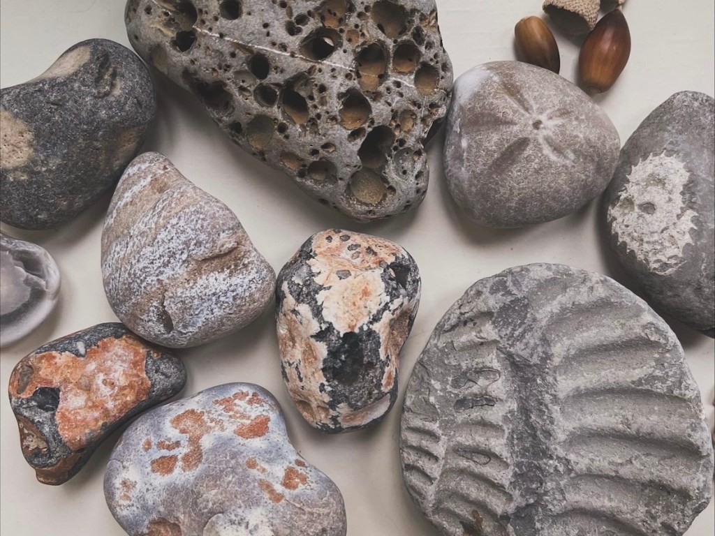 A collection of various smooth stones and pebbles of different colors and textures, including some acorns, arranged on a light surface.